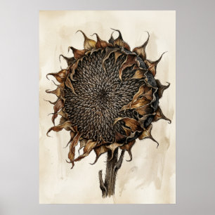Impresión botánica de girasol seco Naturaleza vi