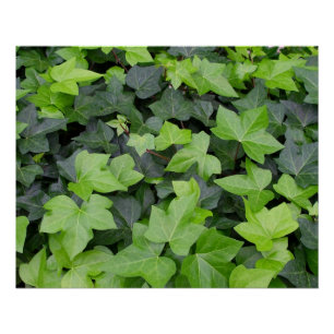 Impresión botánica de marfil verde