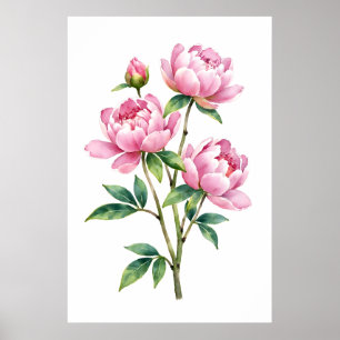 Impresión botánica de peonía rosa en acuarela