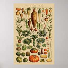 Impresión botánica de Poster de verduras de origen