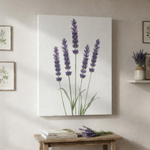 Impresión botánica en acuarela de lavanda púrpura