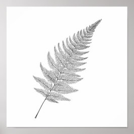 Impresión botánica minimalista: helecho fractal el