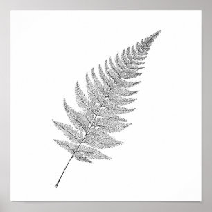 Impresión botánica minimalista: helecho fractal el