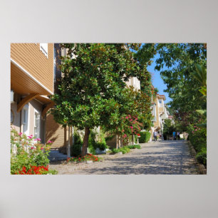 Impresión callejera de Estambul