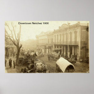 Impresión céntrica de Natchez