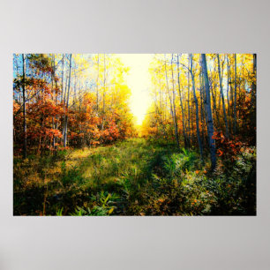 Impresión coloreada brillante del paisaje