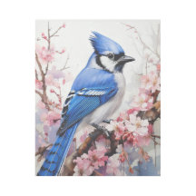 Jay azul encaramado en una rama con flores de cere