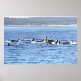 Impresión con marco de superpod de Orca