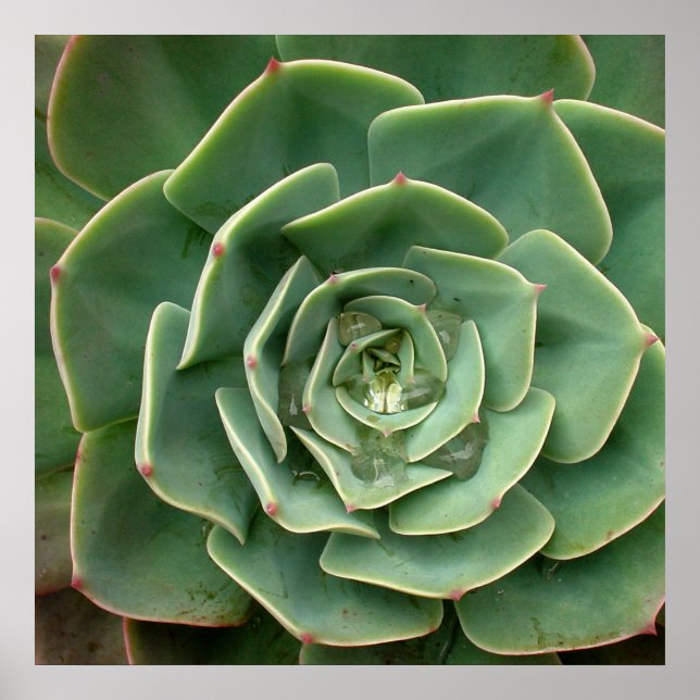 Impresión correcta 2 (Frente)