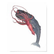 Impresión de acuarela de calamar y ballena