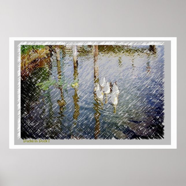 Impresión de acuarela de Ducks (Frente)