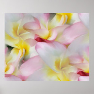 Impresión de acuarela de plumeria