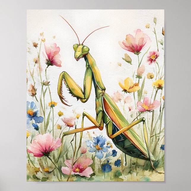 Impresión de acuarela Mantis de flores - Po de ora (Frente)