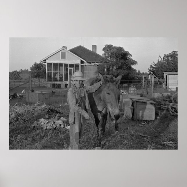 Impresión de Administración de Seguridad de Granja (Frente)