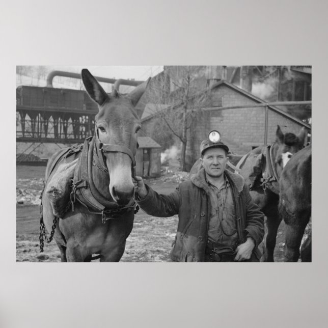 Impresión de Administración de Seguridad de Granja (Frente)