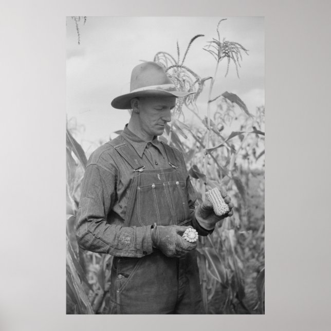 Impresión de Administración de Seguridad de Granja (Frente)