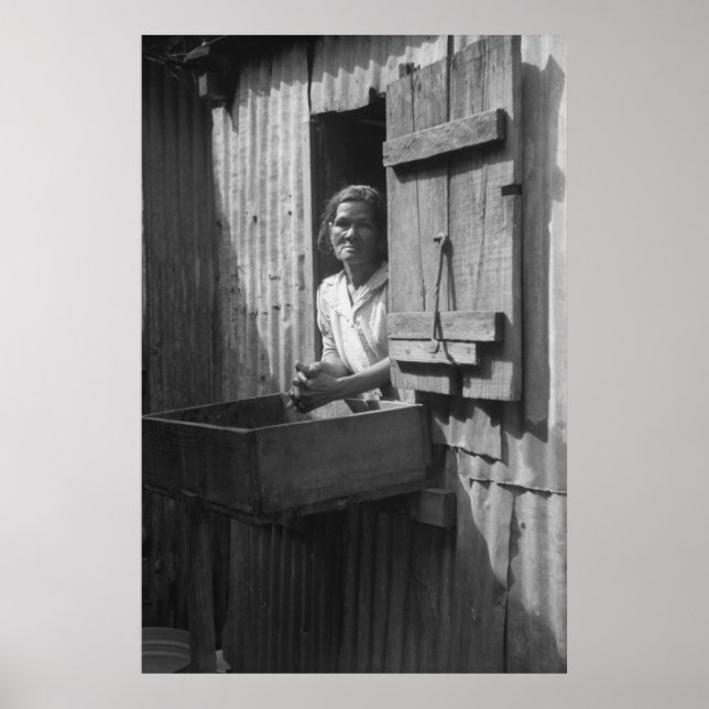 Impresión de Administración de Seguridad de Granja (Frente)