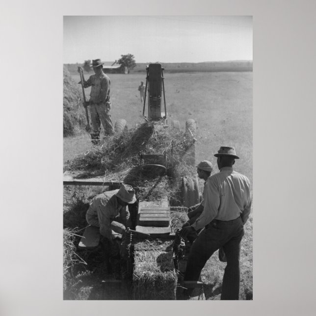 Impresión de Administración de Seguridad de Granja (Frente)