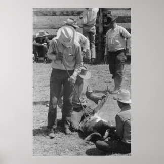 Impresión de Administración de Seguridad de Granja