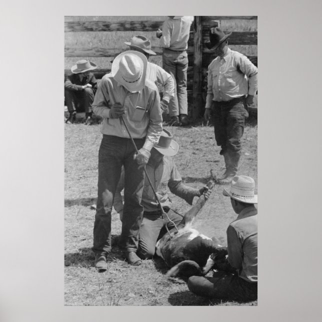 Impresión de Administración de Seguridad de Granja (Frente)