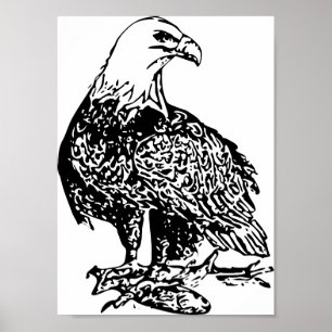 Impresión de águila 2, papel Poster de valor (mate