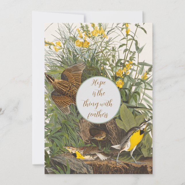 Impresión de almendras de audubón vintage (Anverso)