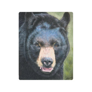 Impresión de aluminio del oso negro