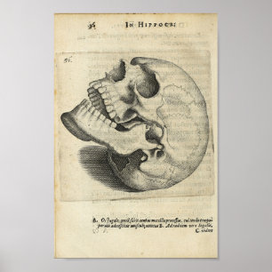Impresión de anatomía de cráneo vintage de 1616