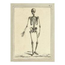Impresión de anatomía de esqueletos de 1831 de épo