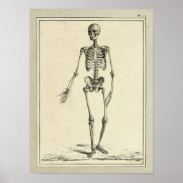 Impresión de anatomía de esqueletos de 1831 de épo