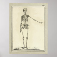 Impresión de anatomía de esqueletos de 1831 de épo