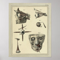 Impresión de anatomía de músculos oculares de 1831