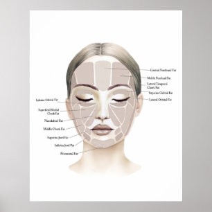 Impresión de Anatomía Facial 1
