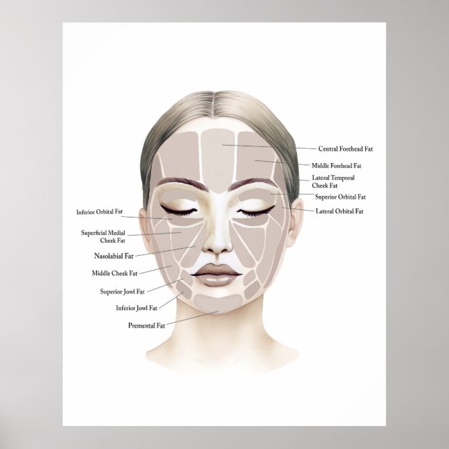 Impresión de Anatomía Facial 1  (Frente)