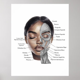 Impresión de anatomía facial 3