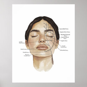 Impresión de Anatomía Facial 3