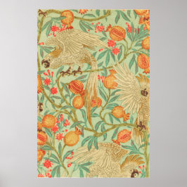 Impresión de antigüedades Cockatoo y Pomegranate