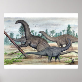 Impresión de Apatosauro y Brontosauro