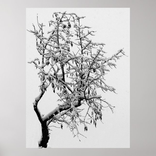 Impresión de árbol de invierno (Frente)