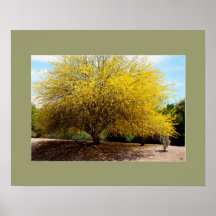 Impresión de árbol Palo Verde