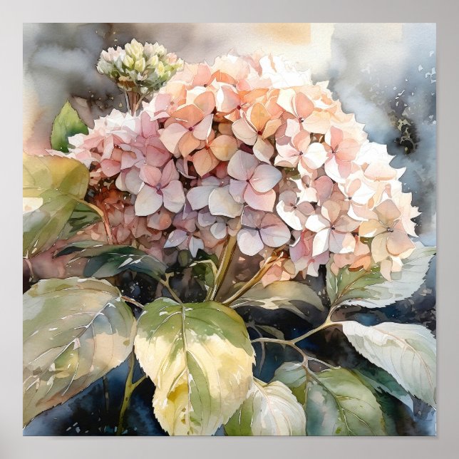 Impresión de arte acuarela de Hydrangea (Frente)