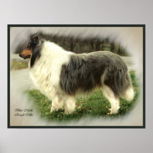 Impresión de arte azul Merle Collie