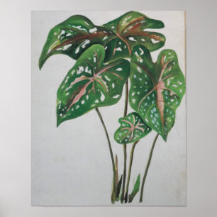 Impresión de Arte Botánico de Hoja Verde en Pared
