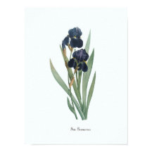 Impresión de arte botánico de Ilustracion floral v