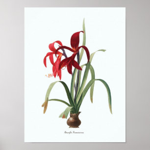 Impresión de arte botánico de Ilustracion floral v