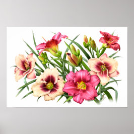 Impresión de arte botánico de Red Daylilies