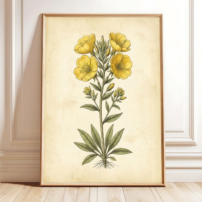 Impresión de Arte Botánico Vintage para Pared (Subido por el creador)