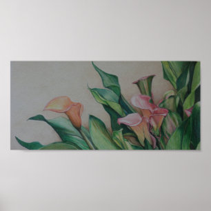 Impresión de arte Calla Lilies