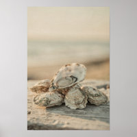 Impresión de Arte Costero y Oceánico de Conchas de