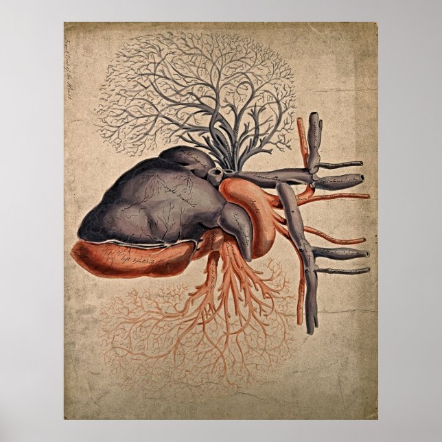 Impresión de arte de acuarela de época sentida (Frente)